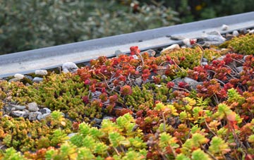 the cost of Castlings Heath green roof installation