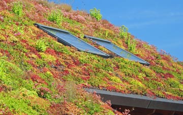 Castlings Heath living roof systems